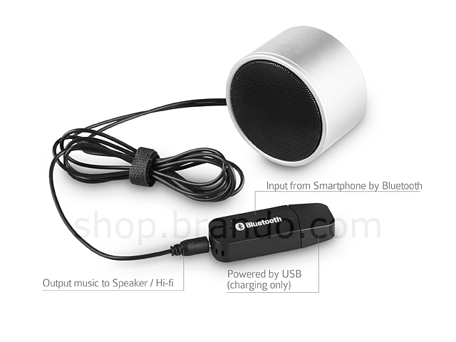 Music Bluetooth USB Drive (DMZER MZ-301)