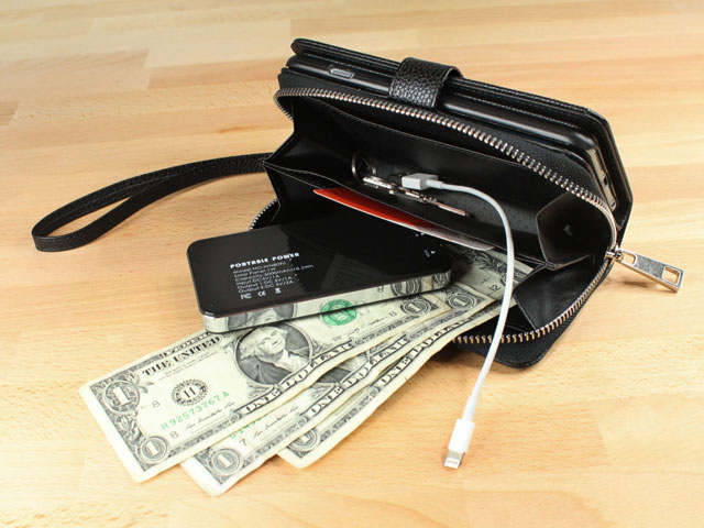 iPhone 5/5s Wallet Bag Case