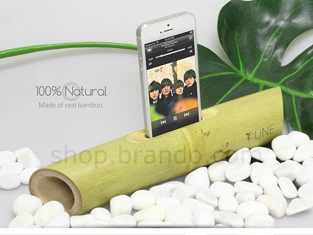 iPhone 5s / SE Natural Bamboo Speaker
