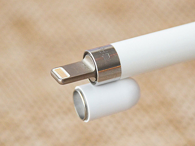 Apple Pencil OEM Replacement Cap