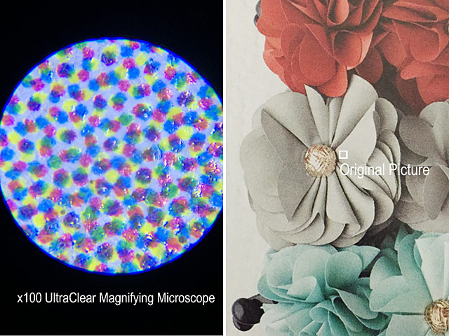 iPhone XS Max (6.5) 60X-100X UltraClear Magnifying Microscope with Back Cover and Brightness LED