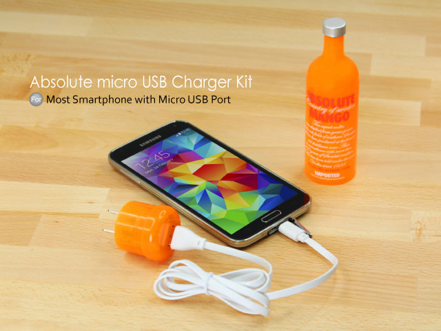 Absolute micro USB Charger Kit