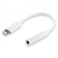 Lightning to 3.5mm Audio AUX Cable