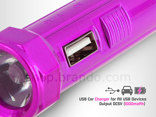 Torch + USB Charger