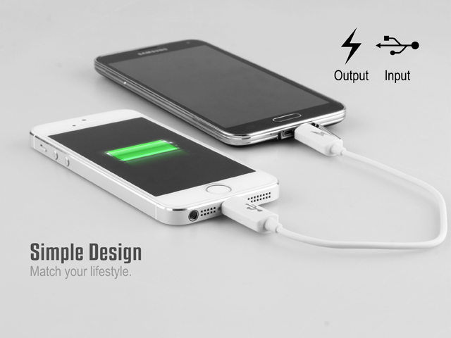 Micro USB to Lightning Charging Cable