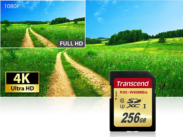 Transcend SDXC UHS-I Card (U3 - 95MB/s Read, 60MB/s Write)