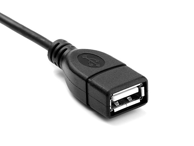 USB 3.1 Type-C OTG Curled Cable